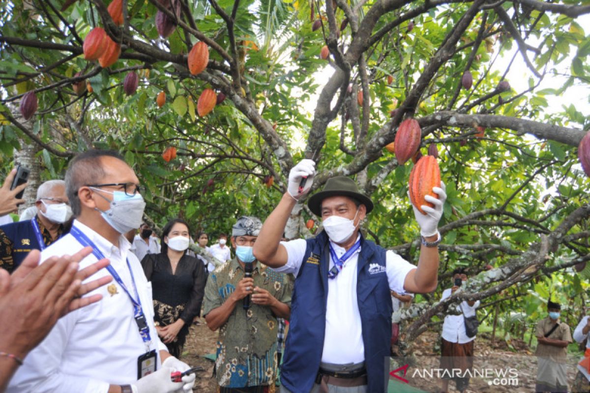 Kementan serahkan bantuan sarana produksi perkebunan di Bali