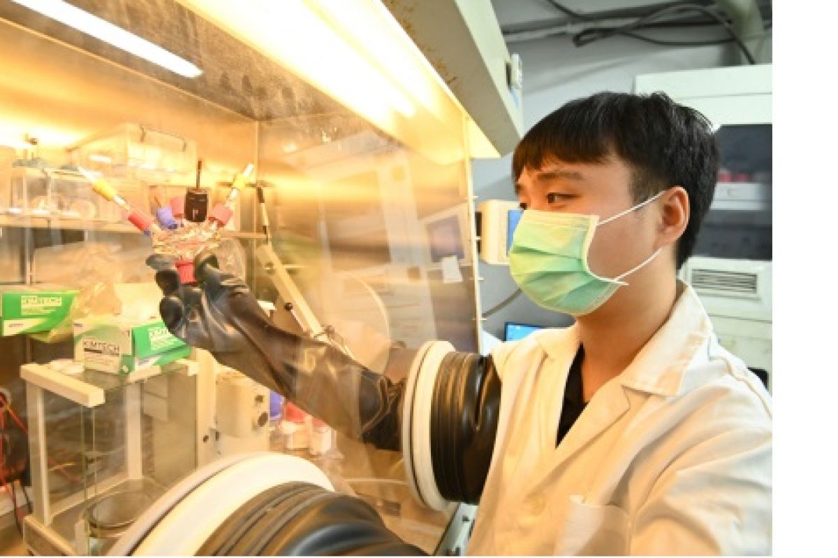 Joint Tsinghua-Liverpool research team discover new charge storage mechanism