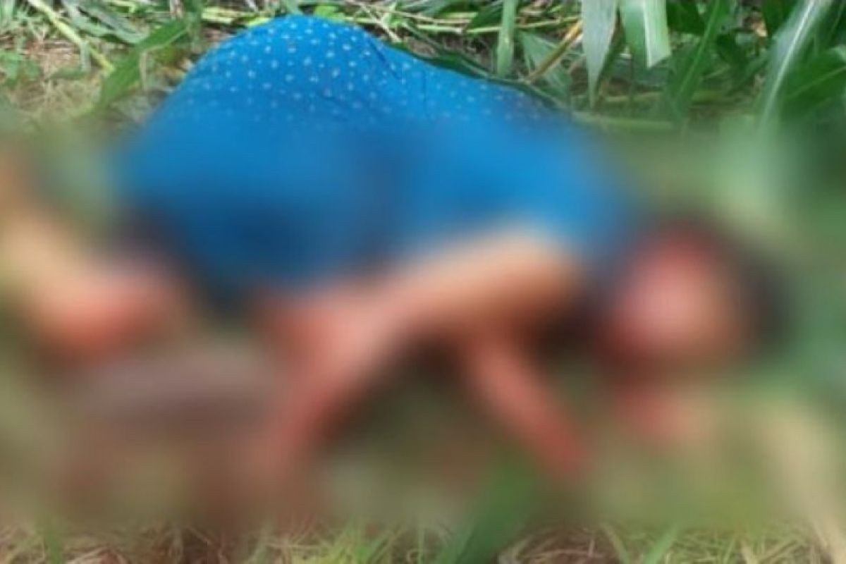 Seorang nenek dibunuh di ladang jagung, tiga orang diamankan