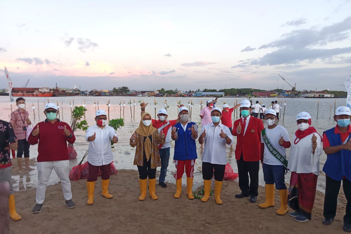 Pelindo IV tanam mangrove jelang HUT Ke-76 Kemerdekaan RI