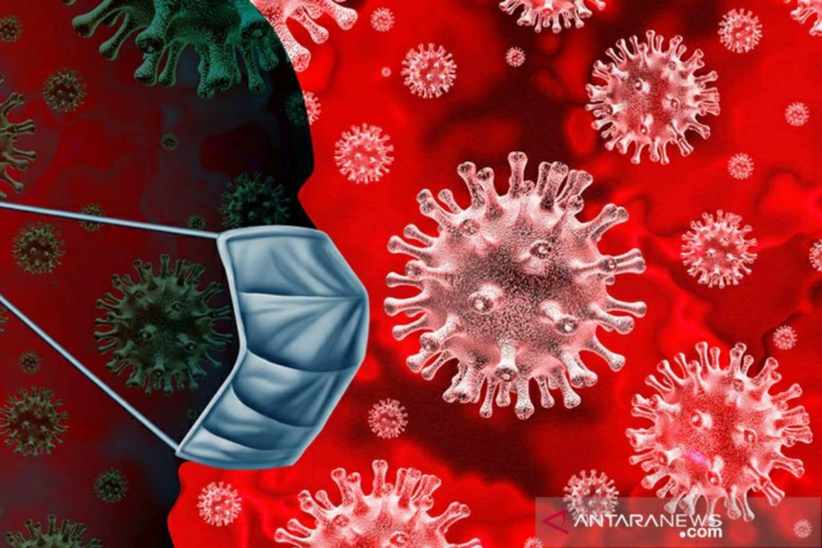 Virus Lassa di Nigeria sebabkan 156 orang meninggal