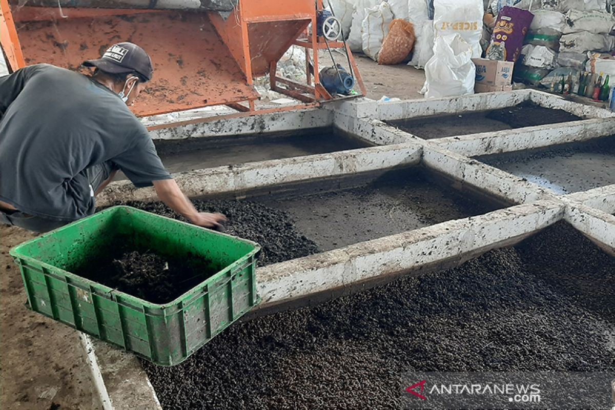 Pemprov DKI ajak warga olah sampah organik dengan memanfaatkan maggot