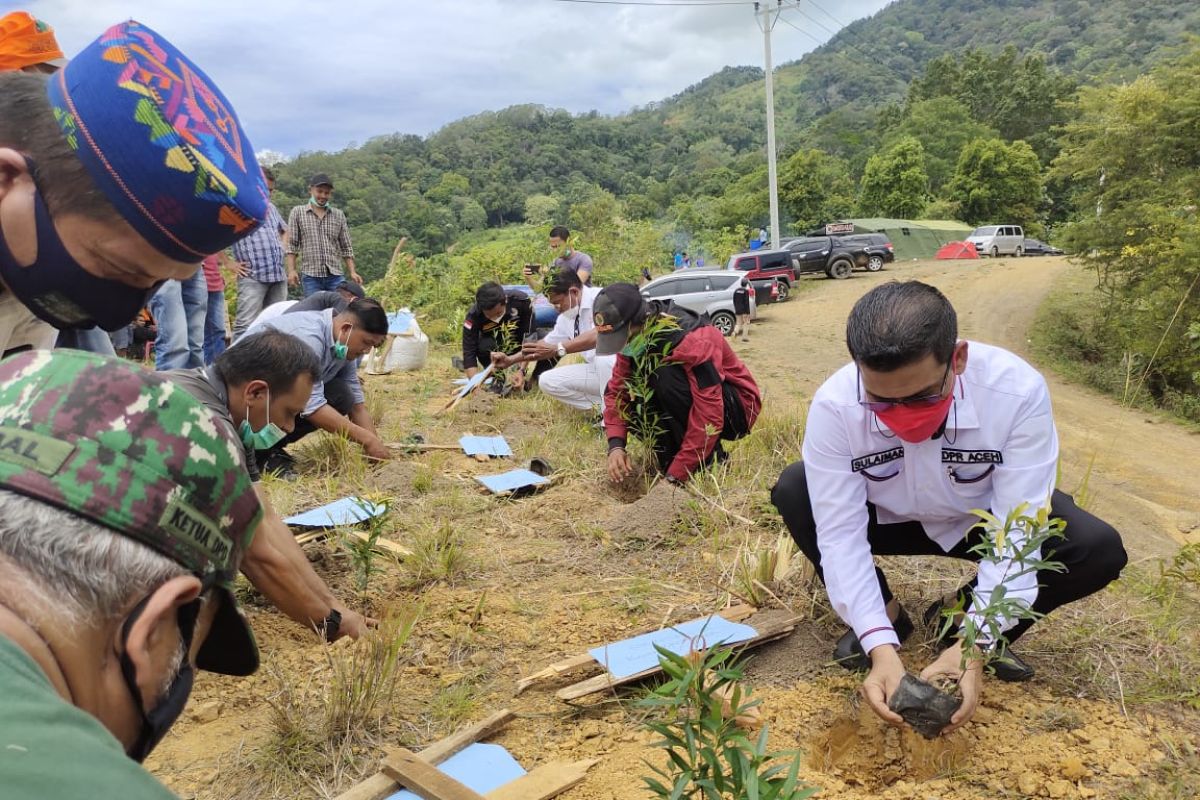 KPA dan mahasiswa di Aceh tanam 1.000 pohon saat Kemerdekaan RI