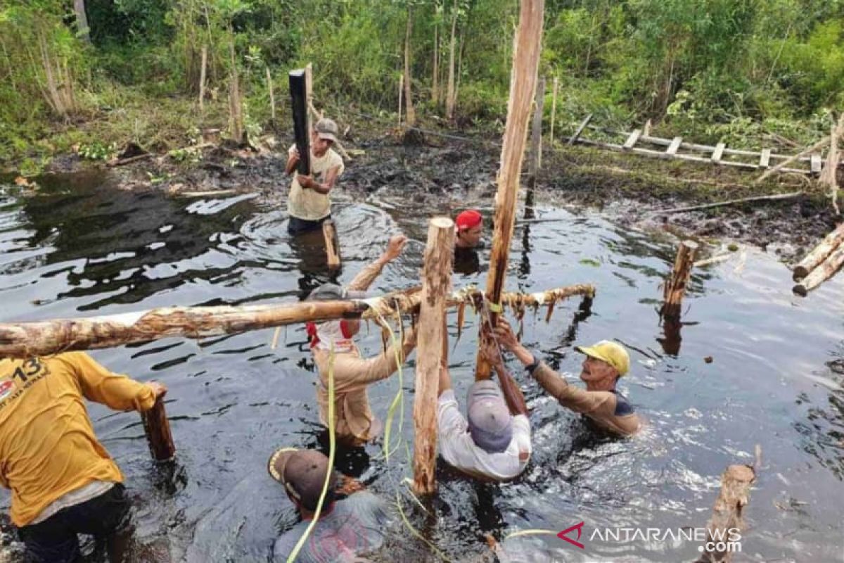 464 Pokmas restorasi gambut sudah terbentuk di Riau 2021