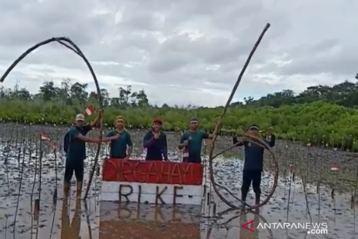 BKSDA Sultra peringati HUT ke-76 RI dengan tanam 3.300 pohon mangrove