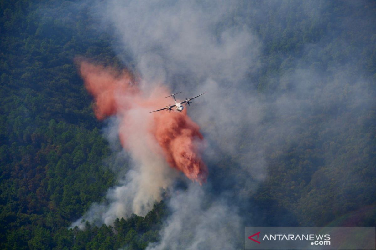 Ratusan dievakuasi dari rumah saat kebakaran hutan melanda  Prancis