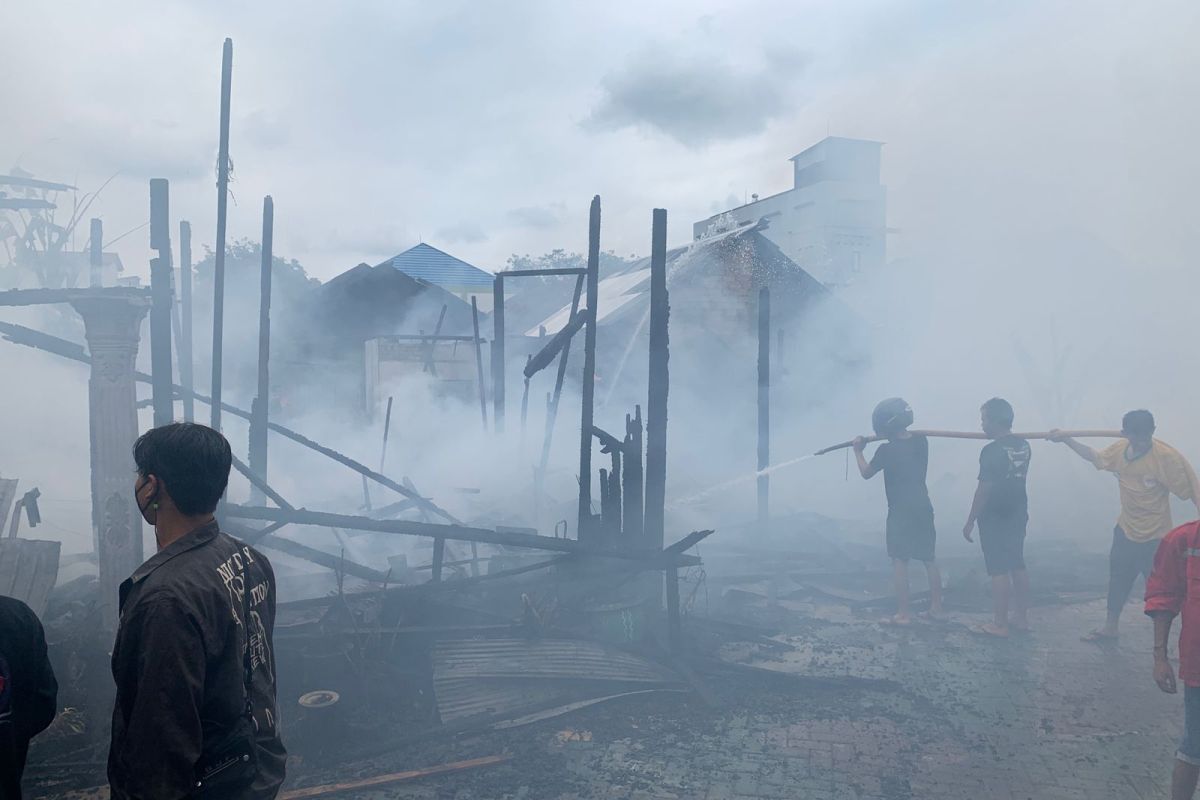 Si jago merah di Balangan mengamuk di siang hari