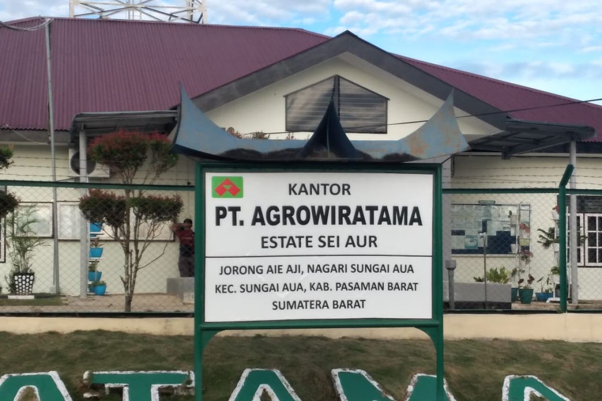 Taat aturan, PT Agrowiratama laporkan sertifikat ISPO Ke Disbun