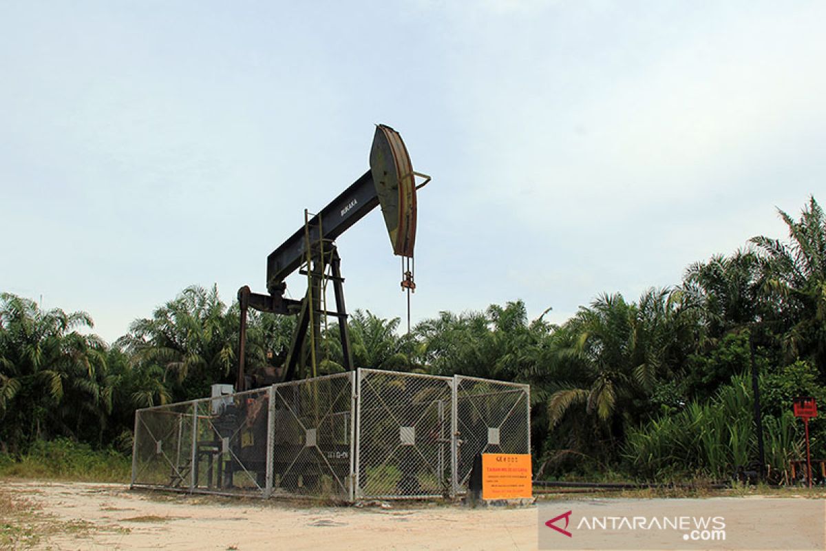 Pertamina optimistis capai target pengeboran 161 sumur di Blok Rokan