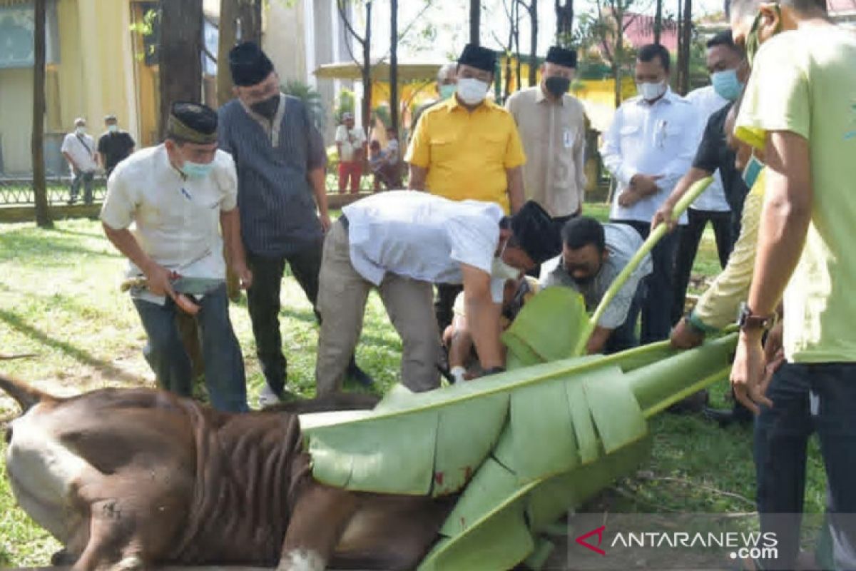 Masjid Darul Abrar DPRD Riau sembelih 20 sapi