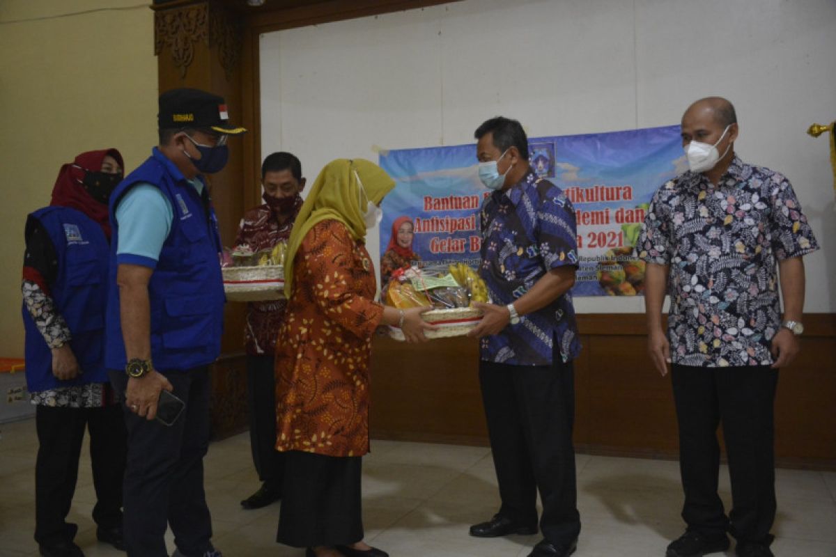 Bupati Sleman menyerahkan bantuan paket buah lokal bagi warga isoman