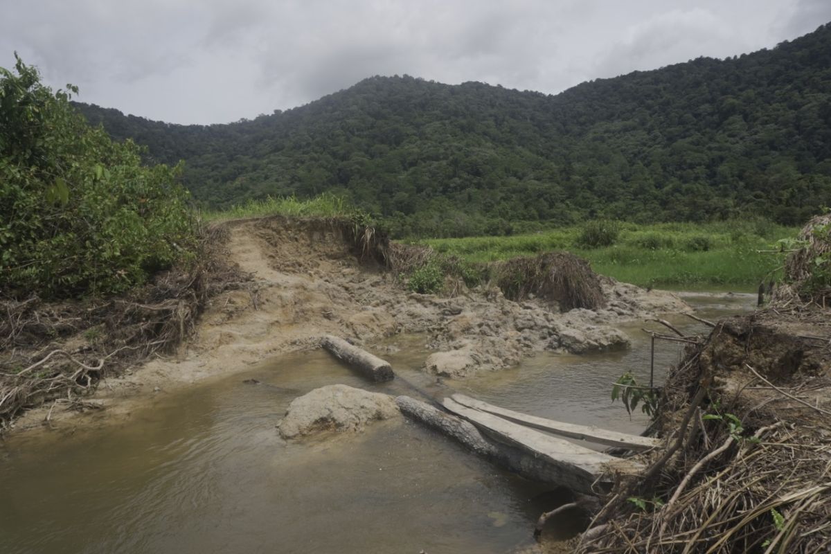 Tanggul jebol ancam lahan petani di Sedahan Jaya