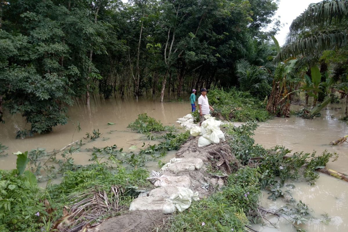 Penanganan korban banjir di Kabupaten Batu Bara terkendala