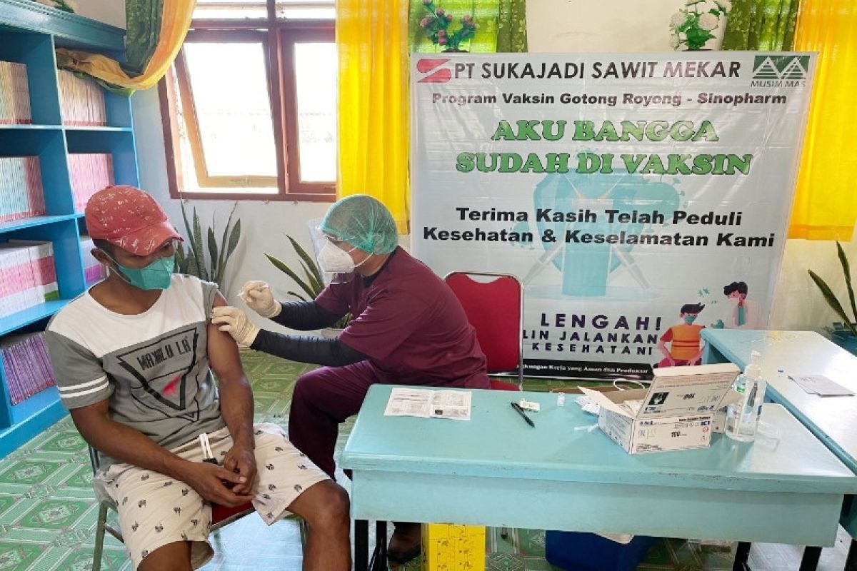 Vaksinasi COVID-19 pekerja PT Sukajadi Sawit Mekar capai 1.500 orang