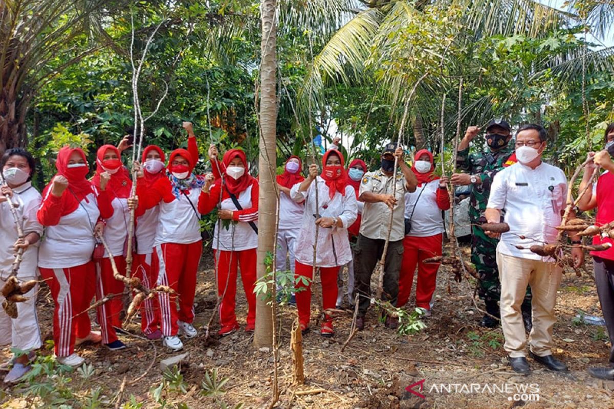 PKK Jakpus panen raya sayuran dan ikan hasil pertanian perkotaan