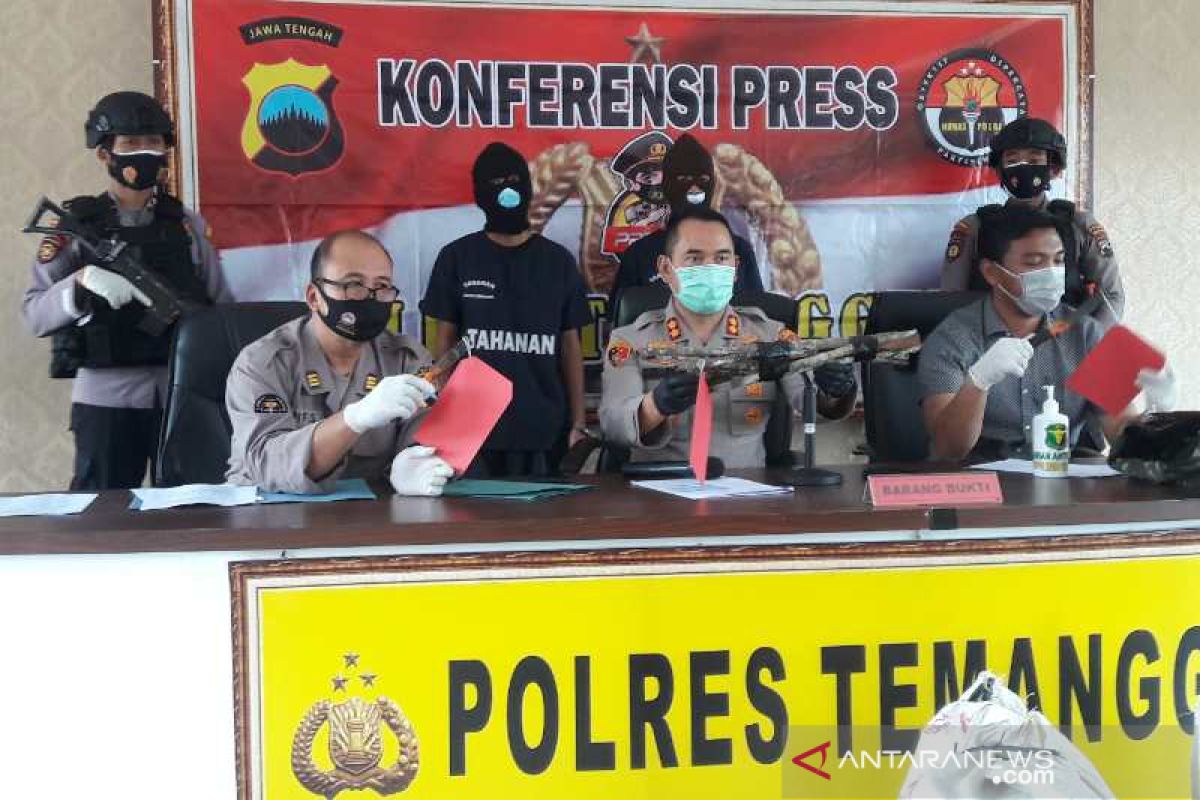 Dua pencuri kayu manis milik Perhutani ditahan