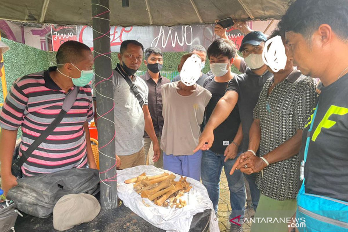 Tim Gabungan BKSDA Sumbar tangkap dua pelaku penjual tulang harimau