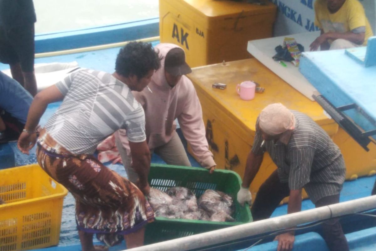 Produksi ikan tangkapan nelayan Sungailiat sebanyak 283 ton