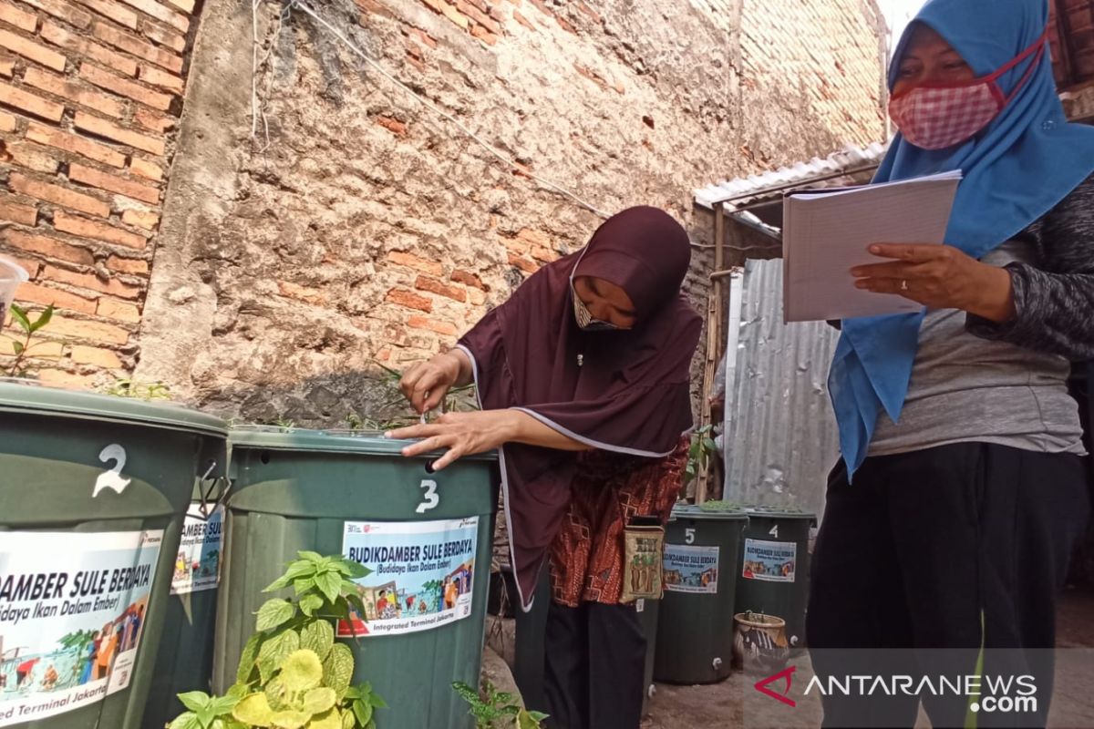 Inovasi Budikdamber: Kolaborasi Pertamina dan Kelompok Masyarakat Koja Tangguh Hadapi Pandemi