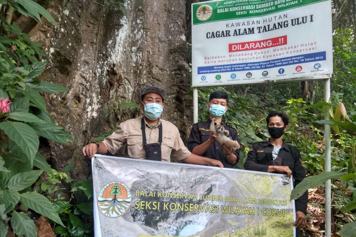 BKSDA Bengkulu-Lampung periode Januari-Juli ratusan satwa dilindungi dilepasliarkan