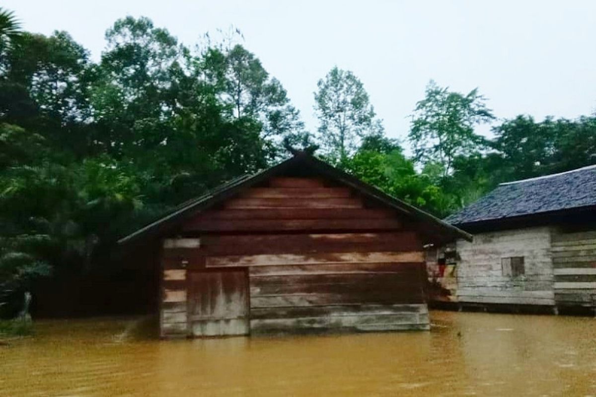 Banjir mulai melanda dua kecamatan di Kotim