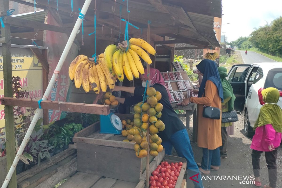 Distankan: Pisang ambon Curup oleh-oleh favorit pendatang