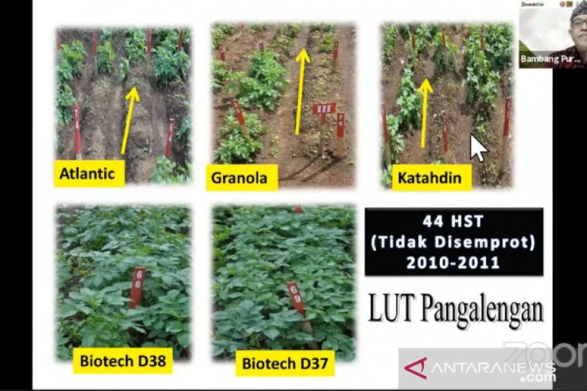 Petani berharap produk bioteknologi bisa diterapkan di Indonesia