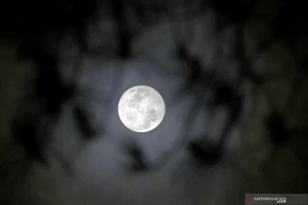 Jangan lupa, malam ini (22/08/2021) fenomena "Blue Moon"