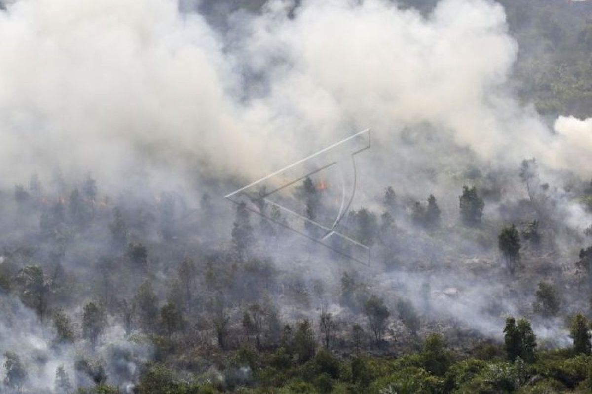 KLHK waspadai potensi karhutla di siklus puncak musim kemarau