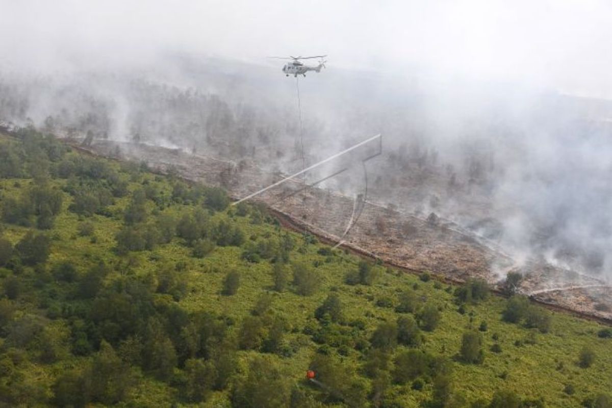 Satgas Karhutla Muba gencarkan patroli di kawasan rawan terbakar Muara Medak