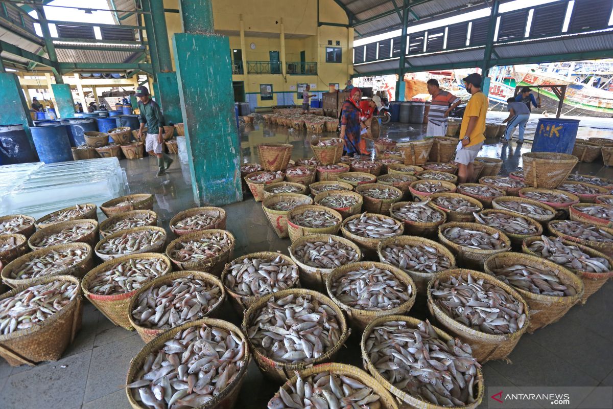 Rektor IPB: Harusnya ikan dan garam termasuk tugas BPN