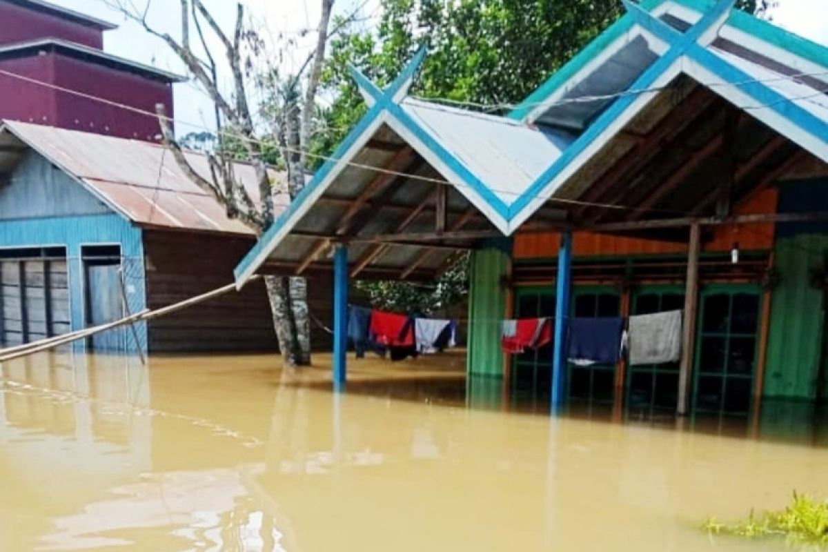 Banjir di Kotim masih berpotensi meluas