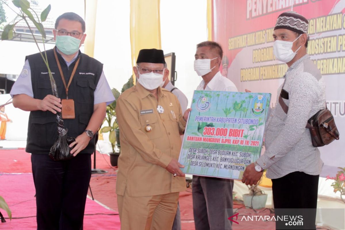 Situbondo jadi sasaran rehabilitasi hutan mangrove