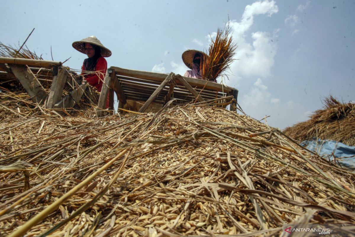 Di DPR, Mentan paparkan target produksi pertanian tahun 2022