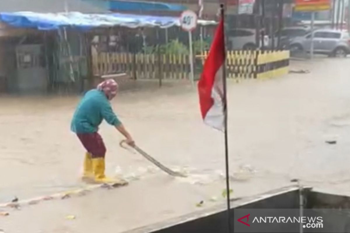 Banjir di Tanjungpinang, ular  pun naik ke jalan