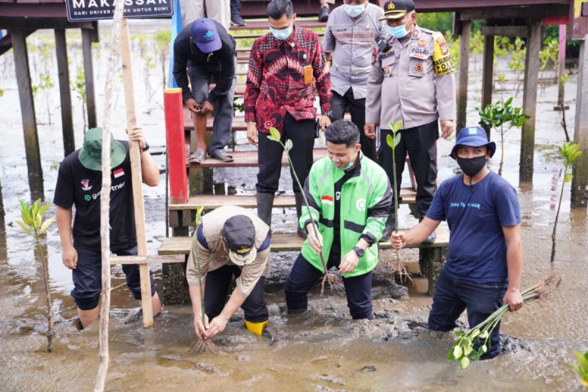 Dishut Sulsel dorong pelestarian hutan mangrove Lantebung Makassar