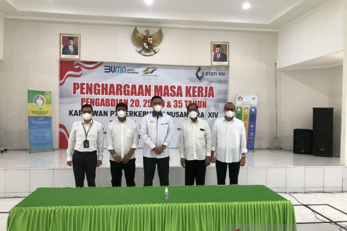 PTPN XIV miliki potensi TBM kelapa sawit 3.000 hektare