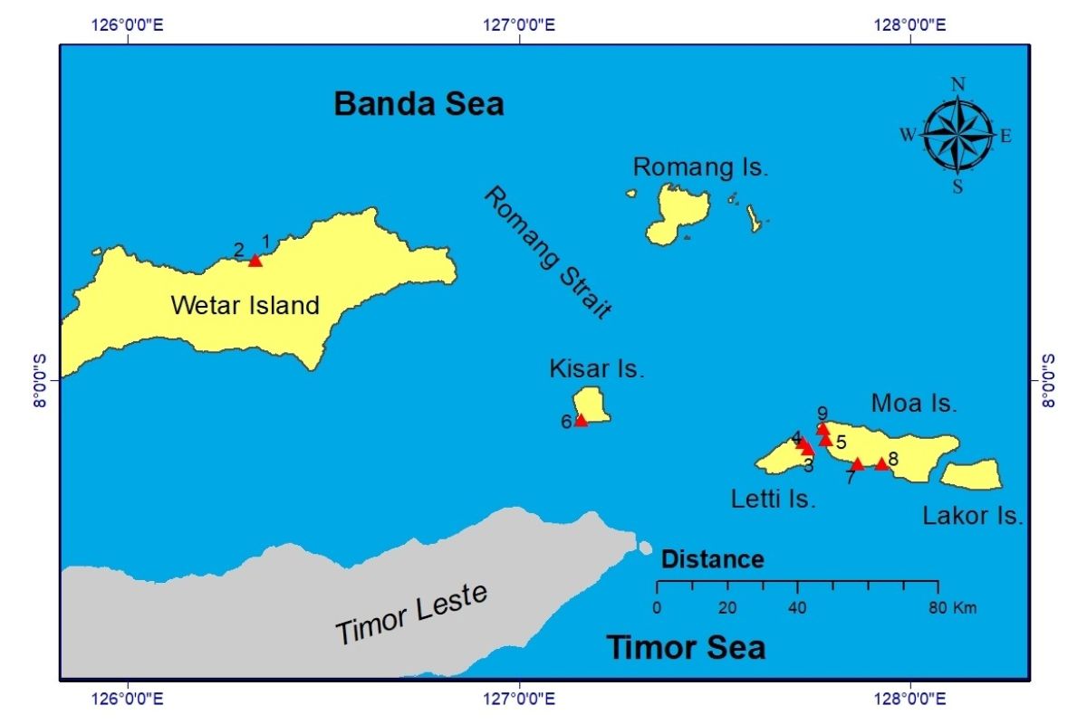Basin Wetar dan Palung Timor KTI miliki 261 jenis ikan karang