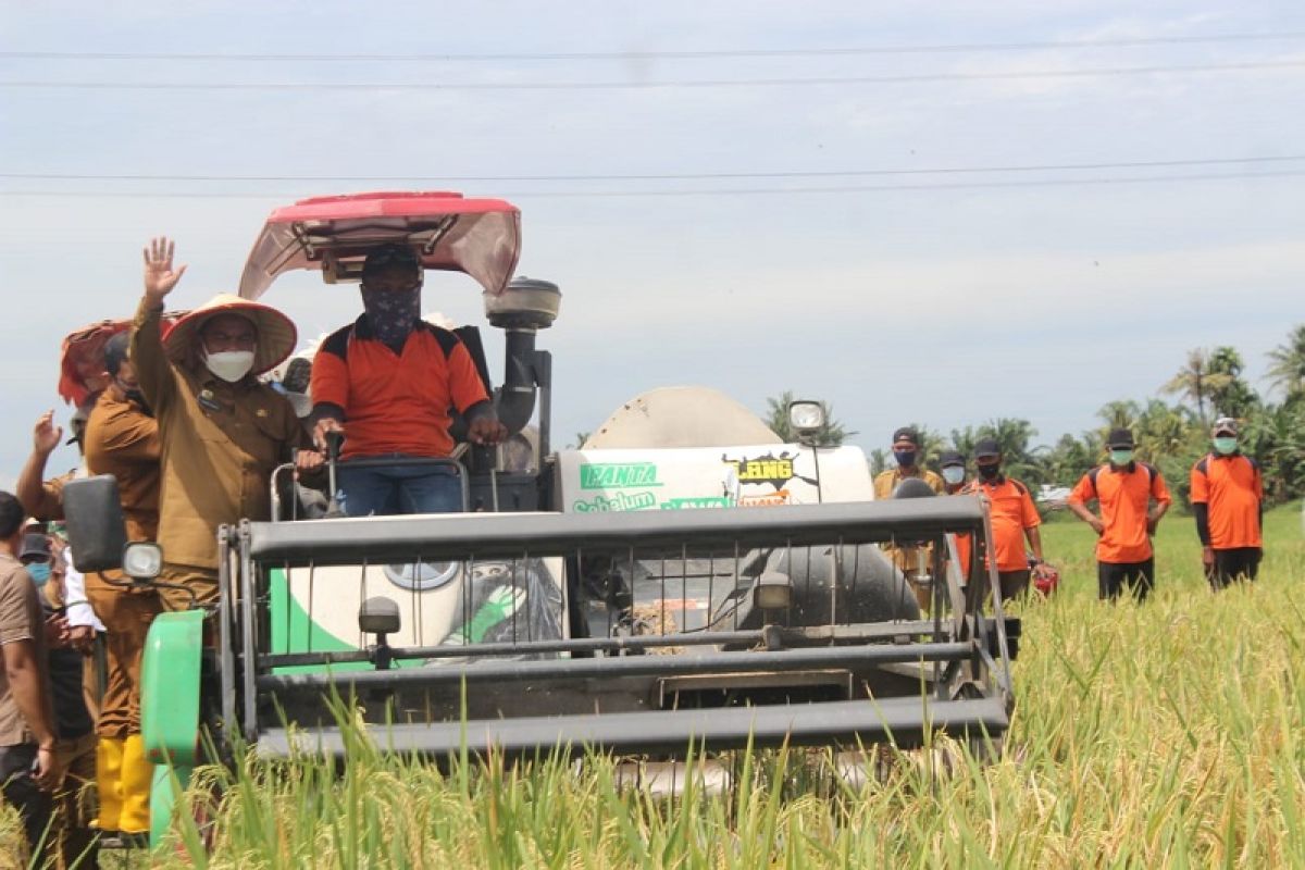 Pemkab Sergai terus dorong peningkatan produksi pertanian