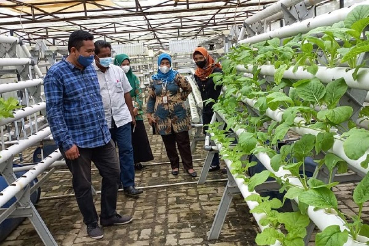 Perluas pasar, Polbangtan Medan Jajaki kerjasama dengan Lapakbuah.Com