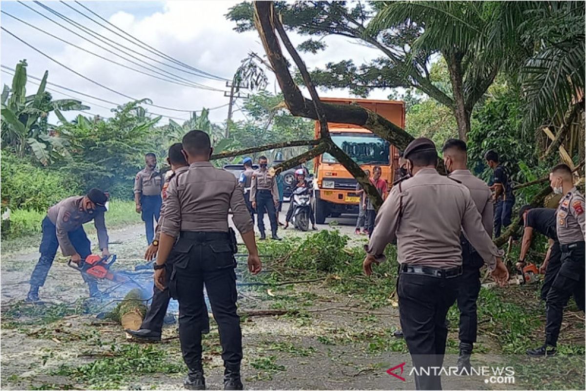 Ini yang terjadi di ruas jalan nasional Padang-Jambi dalam wilayah Dharmasraya, Rabu siang