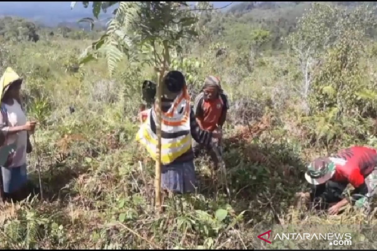 Satgas TNI bersama warga tanam pohon di perbatasan RI-PNG