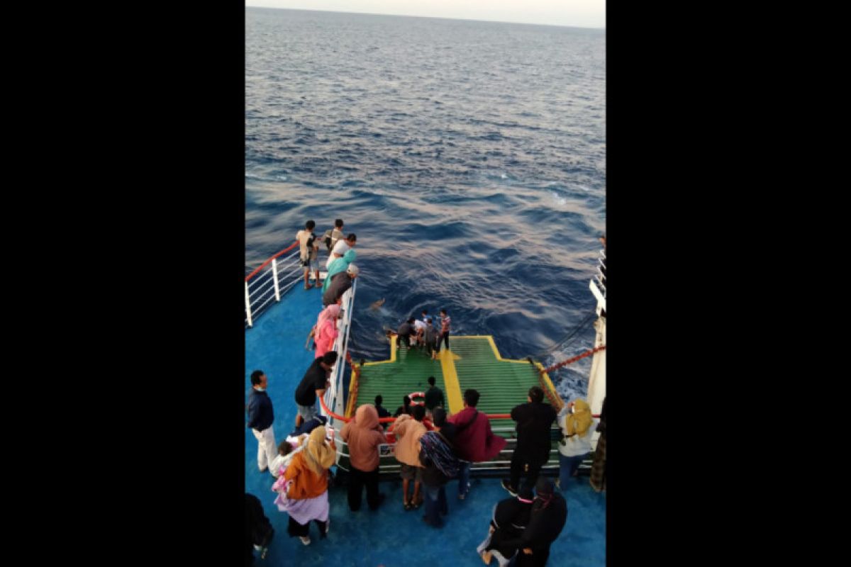 Ditinggal nikah, pemuda ini melompat ke laut dari kapal feri Pototano-Kayangan