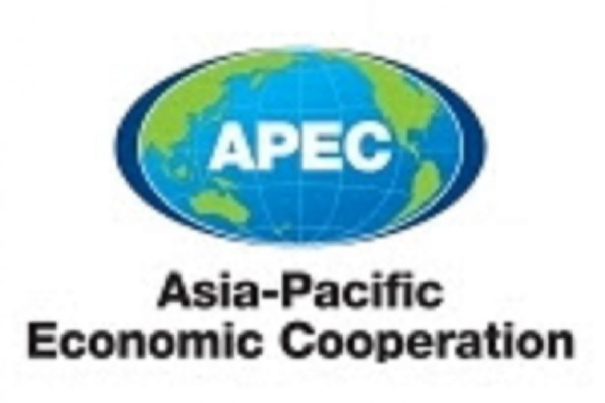 China contributes to APEC sub-fund on combating COVID-19