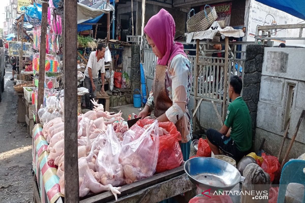 Harga daging ayam ras di Sumut naik didorong mahalnya hasil laut