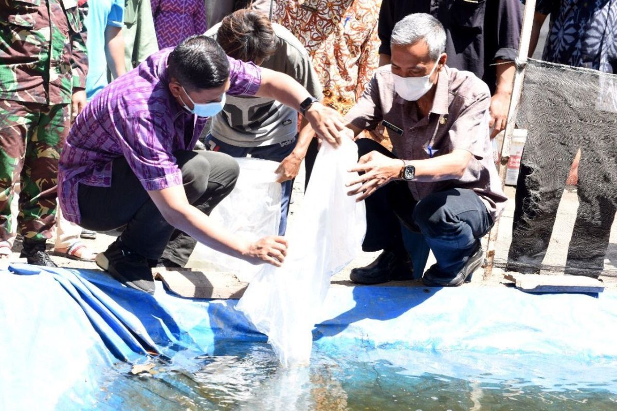 Pemkot Kediri berikan bantuan benih ikan hias kepada peternak