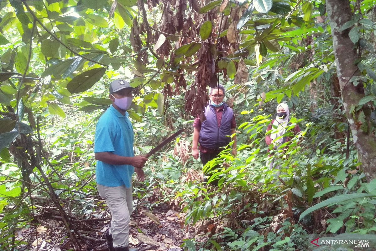 Balitek Kaltim nilai lahan di Kabupaten PPU layak jadi Taman Kehati