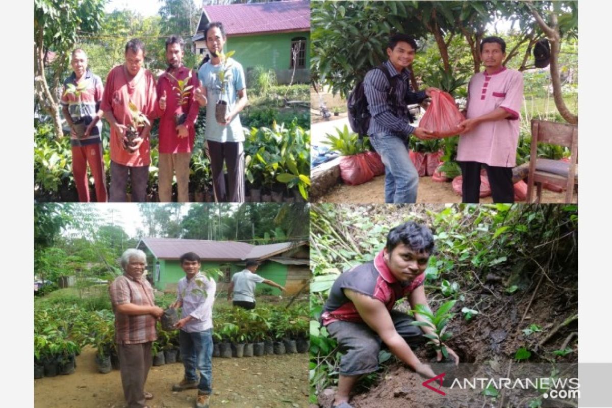 Masyarakat Luat Lombang kelola  koridor Orangutan Tapanuli melalui perdes