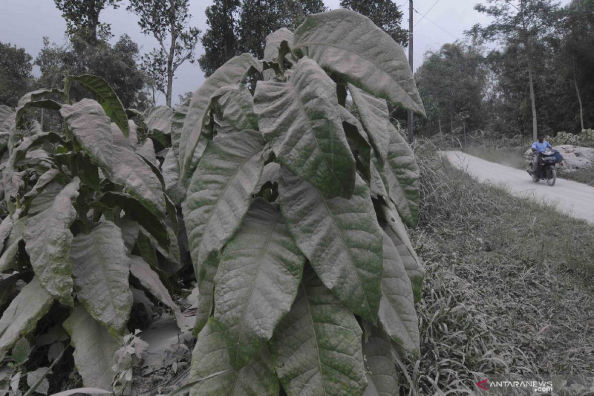 Hujan abu Merapi guyur sebagian wilayah  Magelang