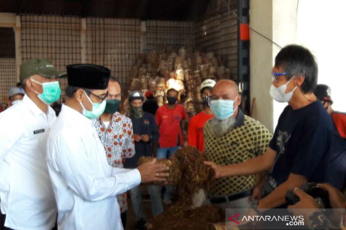 Gudang Garam siap membeli 10.000 ton tembakau Temanggung